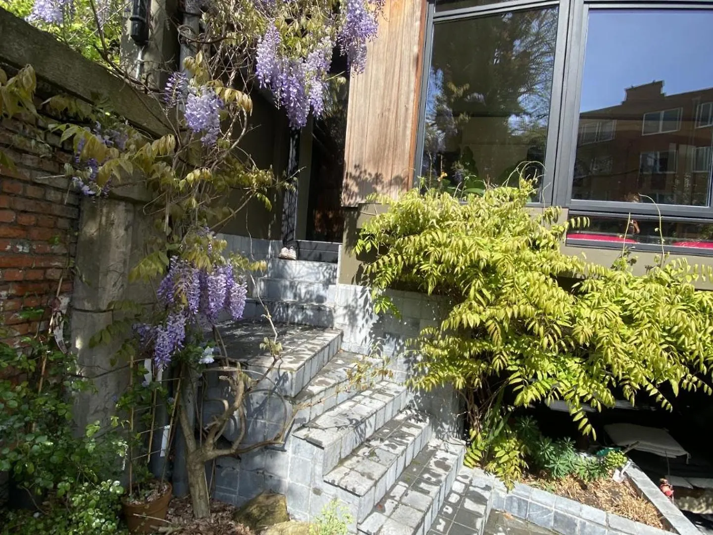 Bed and Breakfast Au Lit Jerome Antwerpen