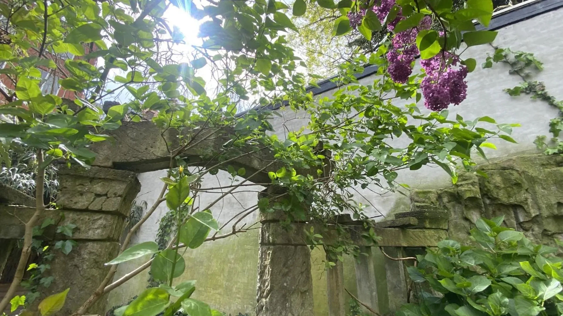 Bed and Breakfast Au Lit Jerome Antwerpen Belgien