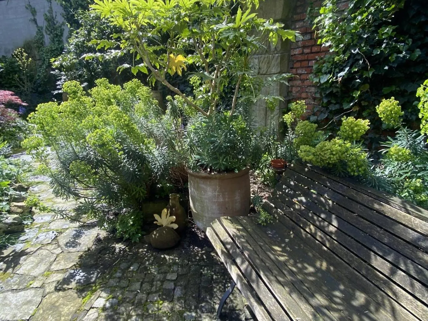 Bed and Breakfast Au Lit Jerome Antwerpen Belgien