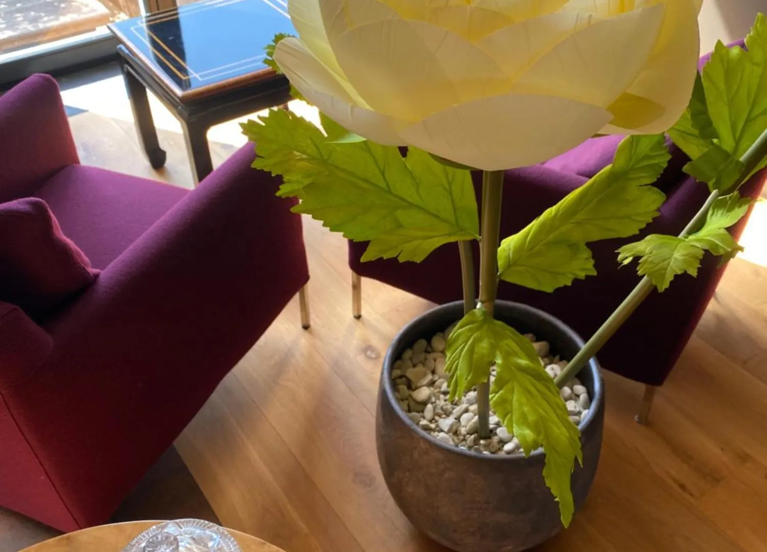 ** Frühstückspension Bed and Breakfast Au Lit Jerome Antwerpen Belgien
